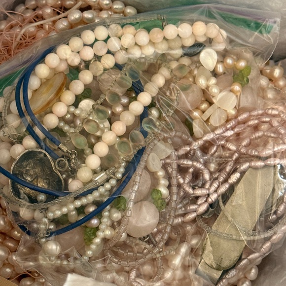 Ivy - Picture 10 of 15